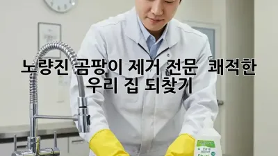 노량진 곰팡이 제거 전문, 🏠 쾌적한 우리 집 되찾기!