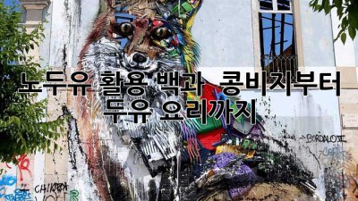 노두유 활용 백과 🧙‍♀️ 콩비지부터 두유 요리까지!